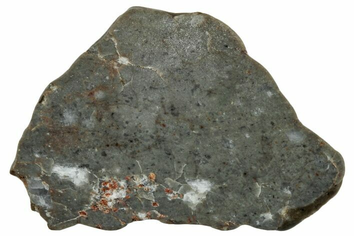 Lunar Meteorite ( g) Slice - Touat #303638